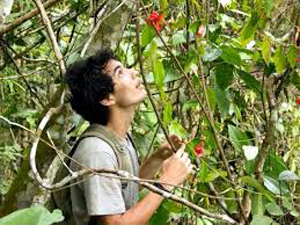 a floresta de jonathas