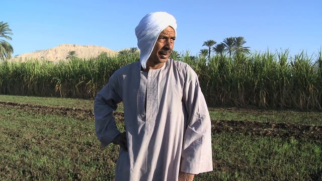 I am the people, de Anna Roussillon