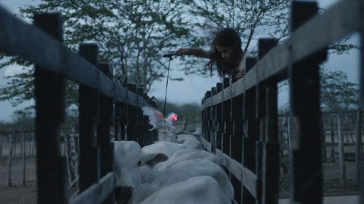 22356406478_7aa21d6018_z