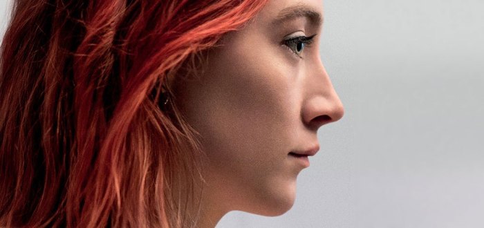 lady-bird-hora-de-voar-04-12-2017