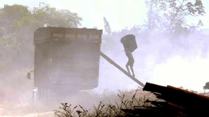 3.-Vidas-Descartáveis2